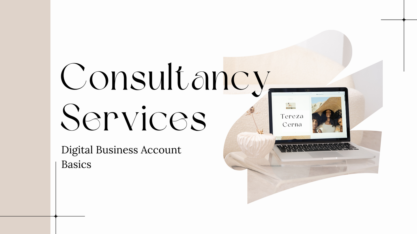 Digital Business Account Basics + Consultancy Services