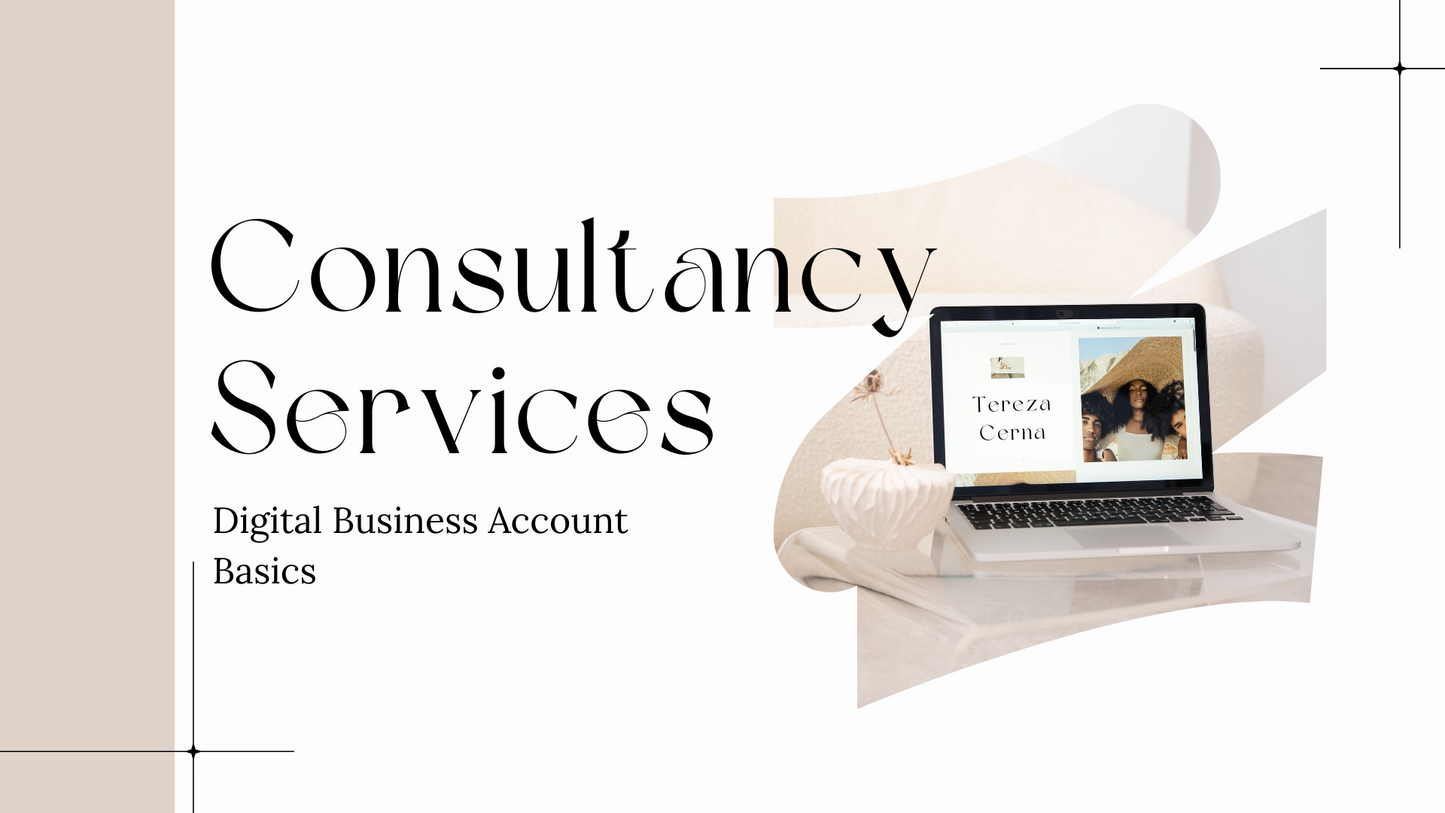 Consultancy Services - Digital Business Account Basics